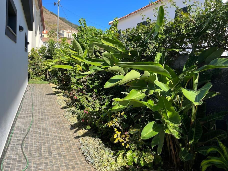Moradia Com Piscina No Canico Экстерьер фото
